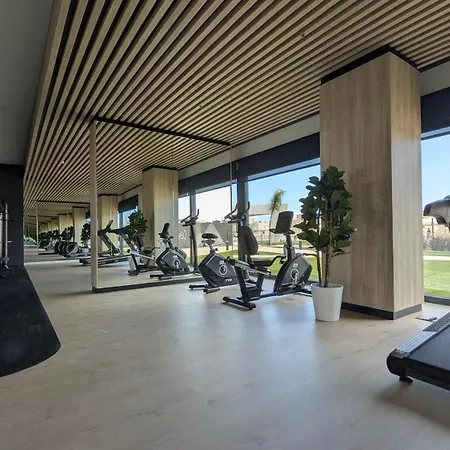 Sunset Sailors Sweet